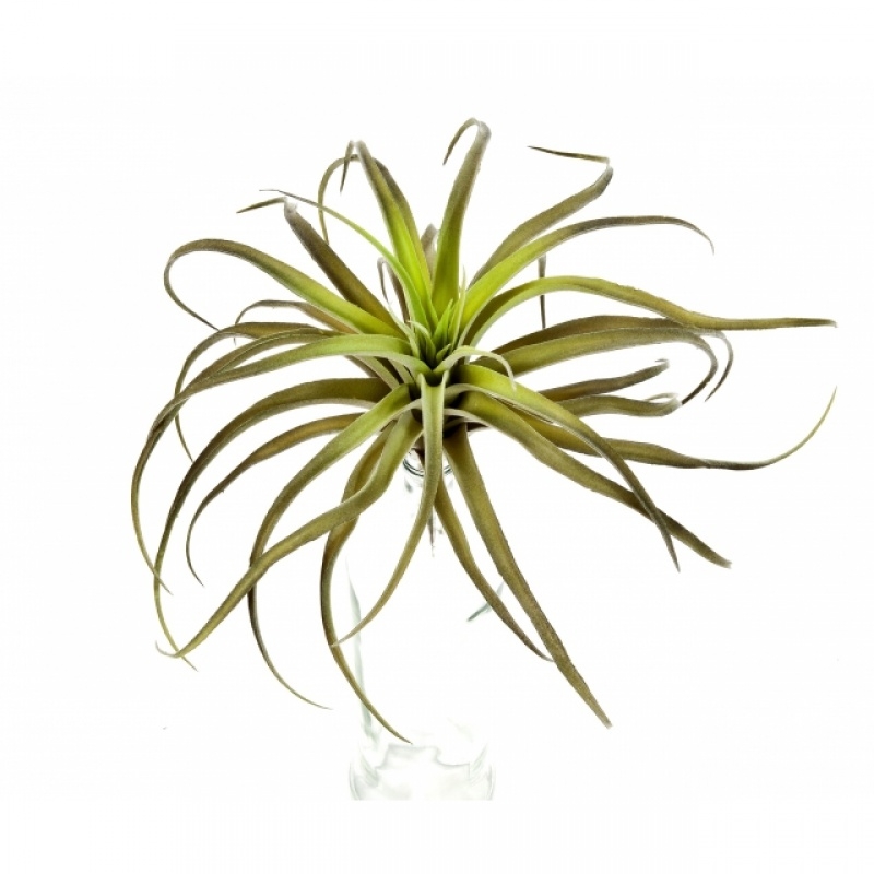 Flocked Tillandsia x 32 26 cm