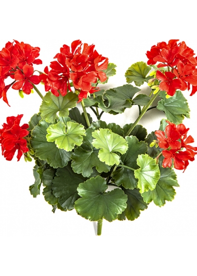 GERANIUM BUSH RED - UV 39 cm