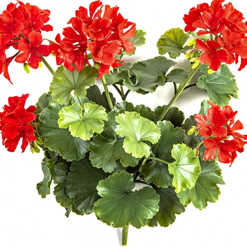 GERANIUM BUSH RED - UV 39 cm