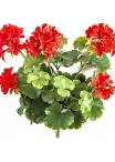 GERANIUM BUSH RED - UV 39 cm
