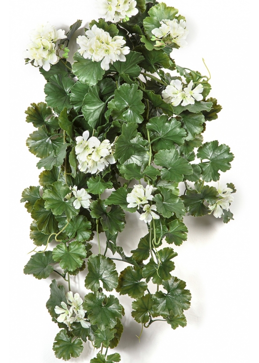 GERANIUM HANGING BUSH CREAM - UV 66 cm