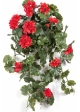 GERANIUM HANGING BUSH RED - UV 66 cm