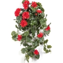 GERANIUM HANGING BUSH RED - UV 66 cm