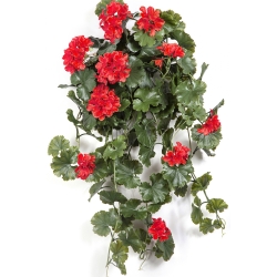 GERANIUM HANGING BUSH RED - UV 66 cm