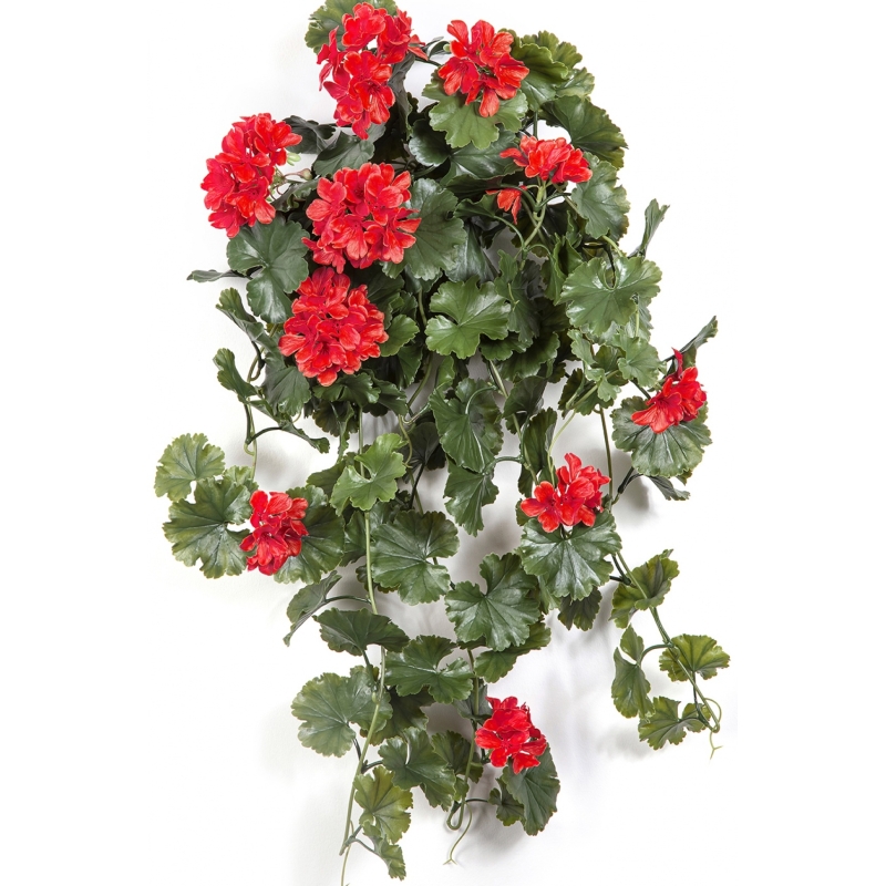 GERANIUM HANGING BUSH RED - UV 66 cm