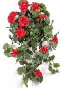 GERANIUM HANGING BUSH RED - UV 66 cm
