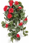 GERANIUM HANGING BUSH RED - UV 66 cm