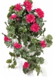 GERANIUM HANGING BUSH VIOLET - UV 66 cm