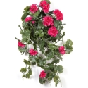 GERANIUM HANGING BUSH VIOLET - UV 66 cm