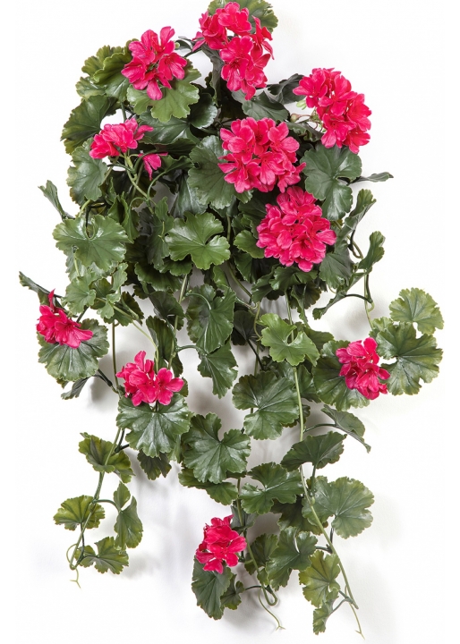 GERANIUM HANGING BUSH VIOLET - UV 66 cm