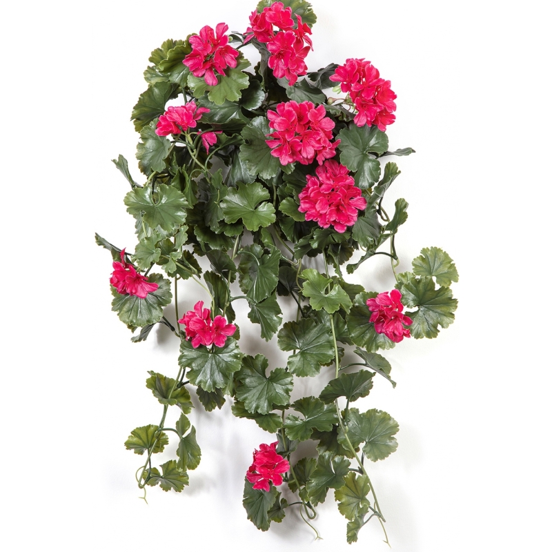 GERANIUM HANGING BUSH VIOLET - UV 66 cm