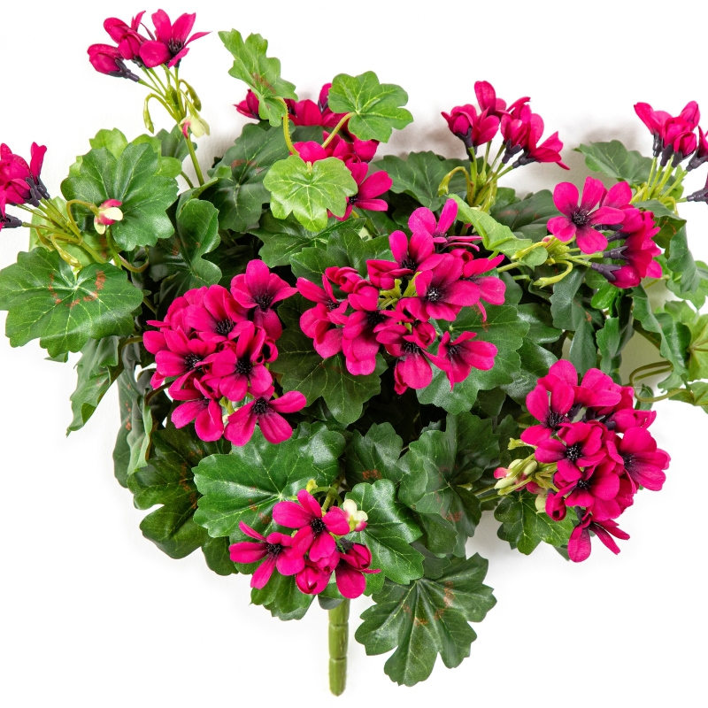 Geranium Cascade Bush Violet 35 cm