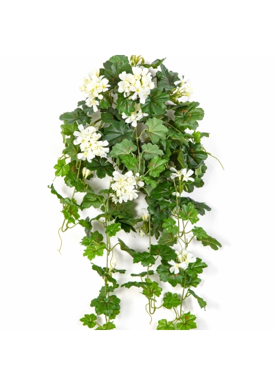 Geranium Cascade Hanging Bush Cream 72 cm