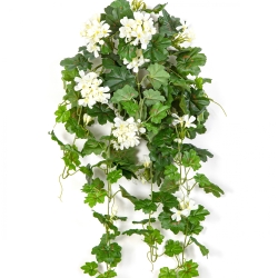 Geranium Cascade Hanging Bush Cream 72 cm