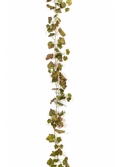Grape Ivy Vine Autumn 230 cm