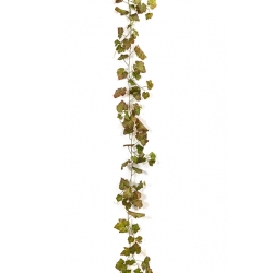 Grape Ivy Vine Autumn 230 cm