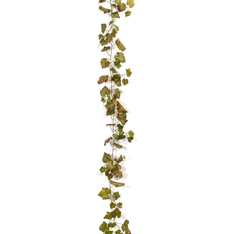 Grape Ivy Vine Autumn 230 cm