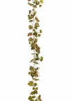Grape Ivy Vine Autumn 230 cm
