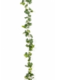 Grape Ivy Vine Green 230 cm