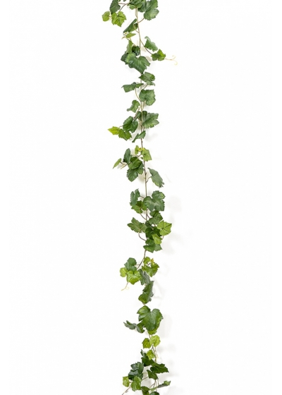 Grape Ivy Vine Green 230 cm