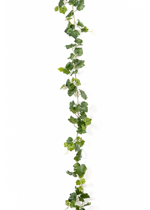 Grape Ivy Vine Green 230 cm
