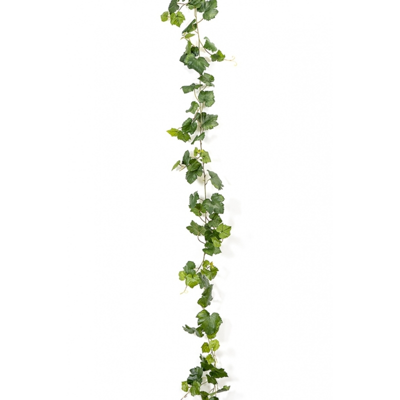 Grape Ivy Vine Green 230 cm
