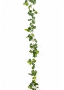 Grape Ivy Vine Green 230 cm