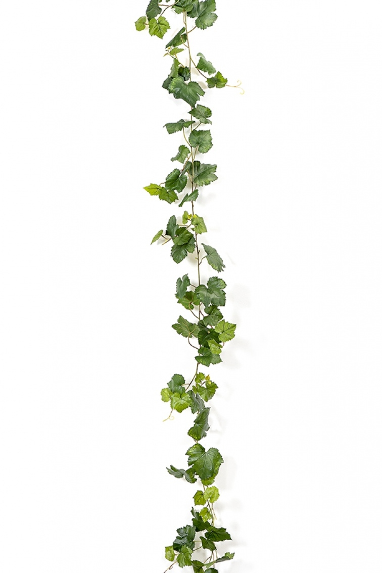 Grape Ivy Vine Green 230 cm