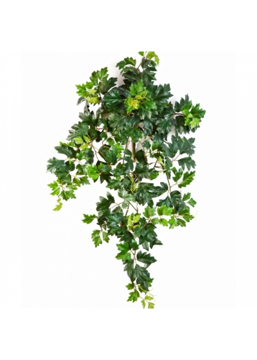 Grape ivy hanging bush x 7 70-90 cm