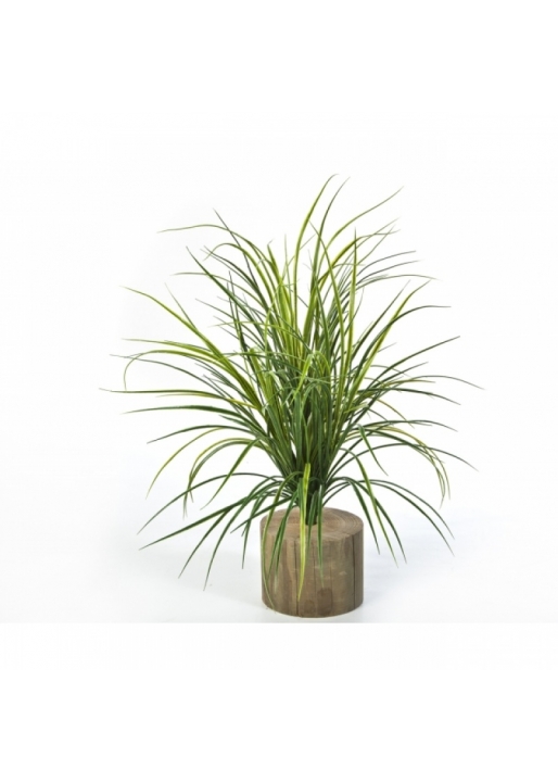 Grass Bunch 75 cm