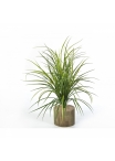 Grass Bunch 75 cm