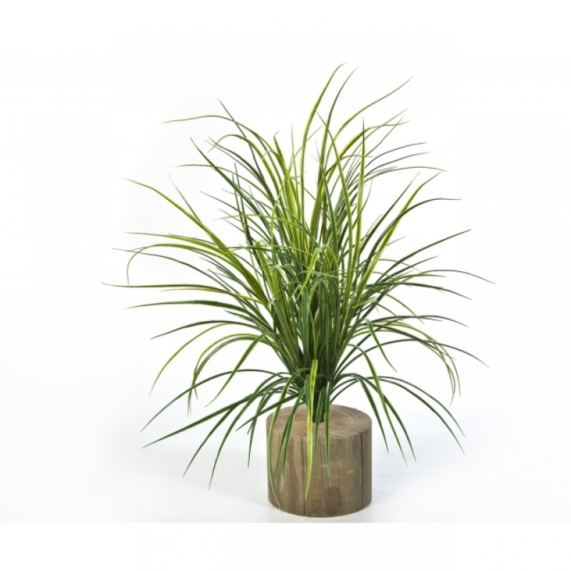 Grass Bunch 75 cm