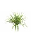Grass Bunch Green/Yellow - UV 52 cm