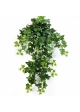 Green Ivy Hanging Bush x 12 70-110 cm