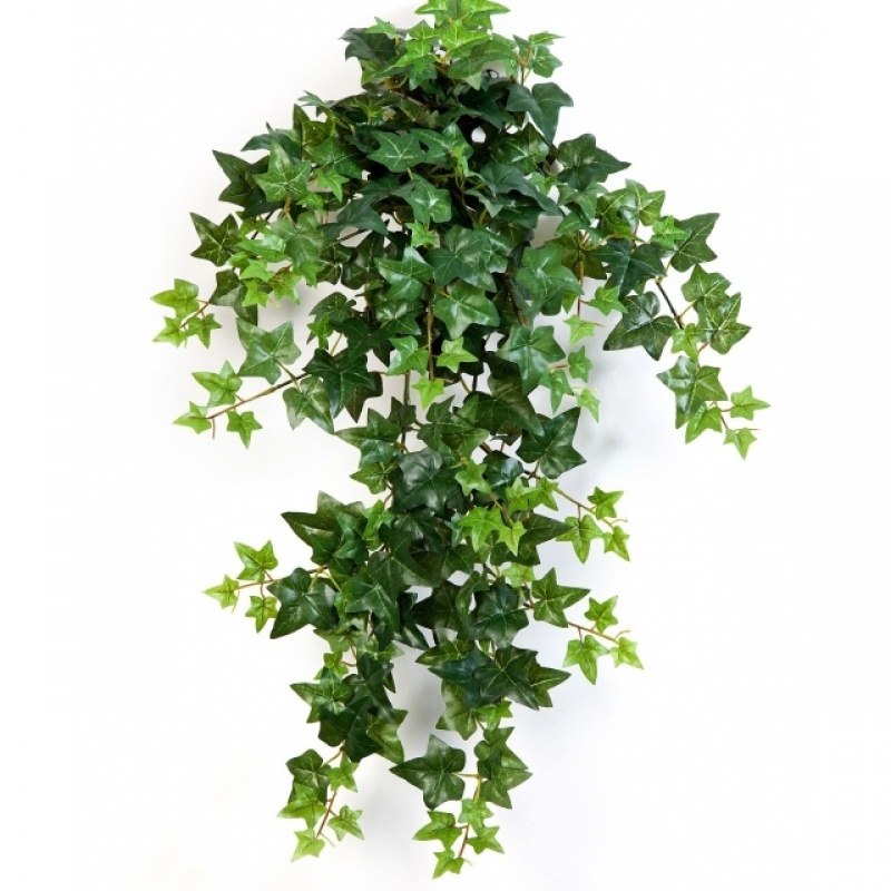 Green Ivy Hanging Bush x 12 70-110 cm