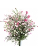 Gypsophila Bush Pink - UV 45 cm