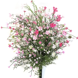 Gypsophila Bush Pink - UV 45 cm
