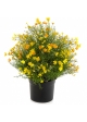 Gypsophila Bush w/pot - Yellow 48 cm