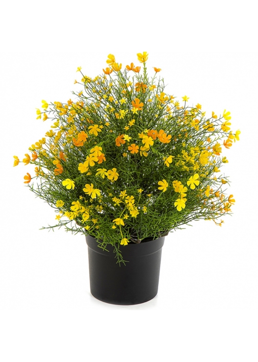 Gypsophila Bush w/pot - Yellow 48 cm