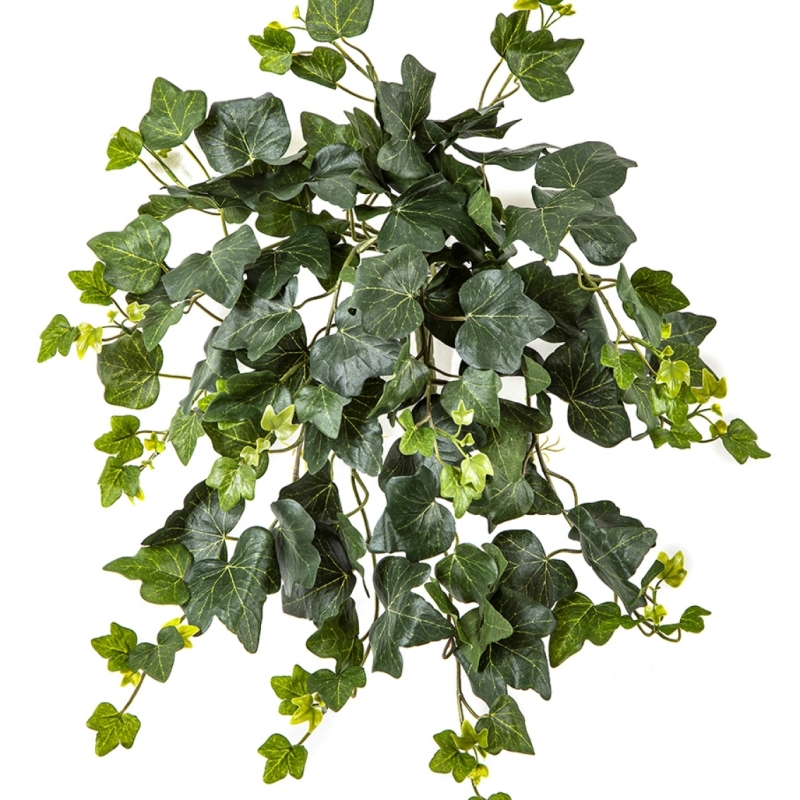 Ivy Hanging Bush x 133 - UV 48 cm
