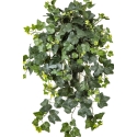 Ivy Hanging Bush x 262 -UV 65 cm