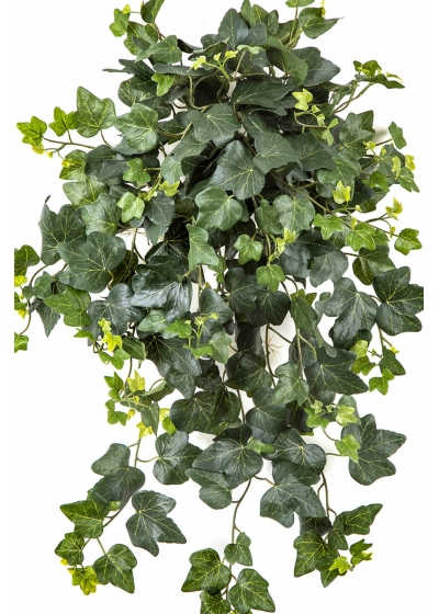 Ivy Hanging Bush x 262 -UV 65 cm