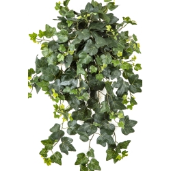 Ivy Hanging Bush x 262 -UV 65 cm