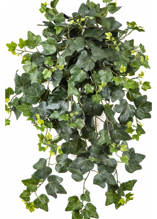 Ivy Hanging Bush x 262 -UV 65 cm