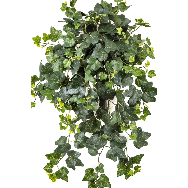 Ivy Hanging Bush x 262 -UV 65 cm