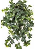 Ivy Hanging Bush x 262 -UV 65 cm