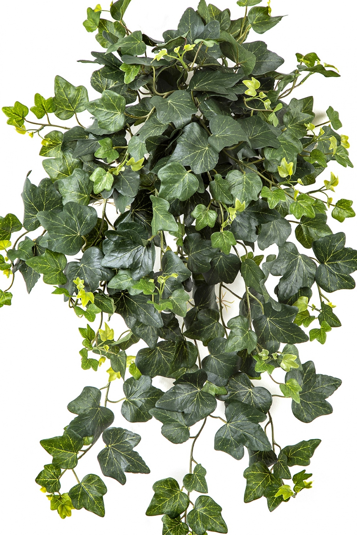 Ivy Hanging Bush x 262 -UV 65 cm