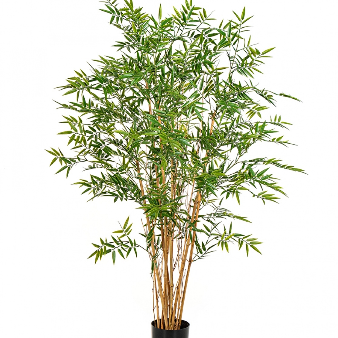 Japanese Bamboo UV 150 cm