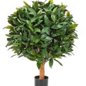 LAUREL BALL DE LUXE 35-95 cm