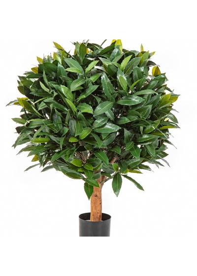 LAUREL BALL DE LUXE 35-95 cm